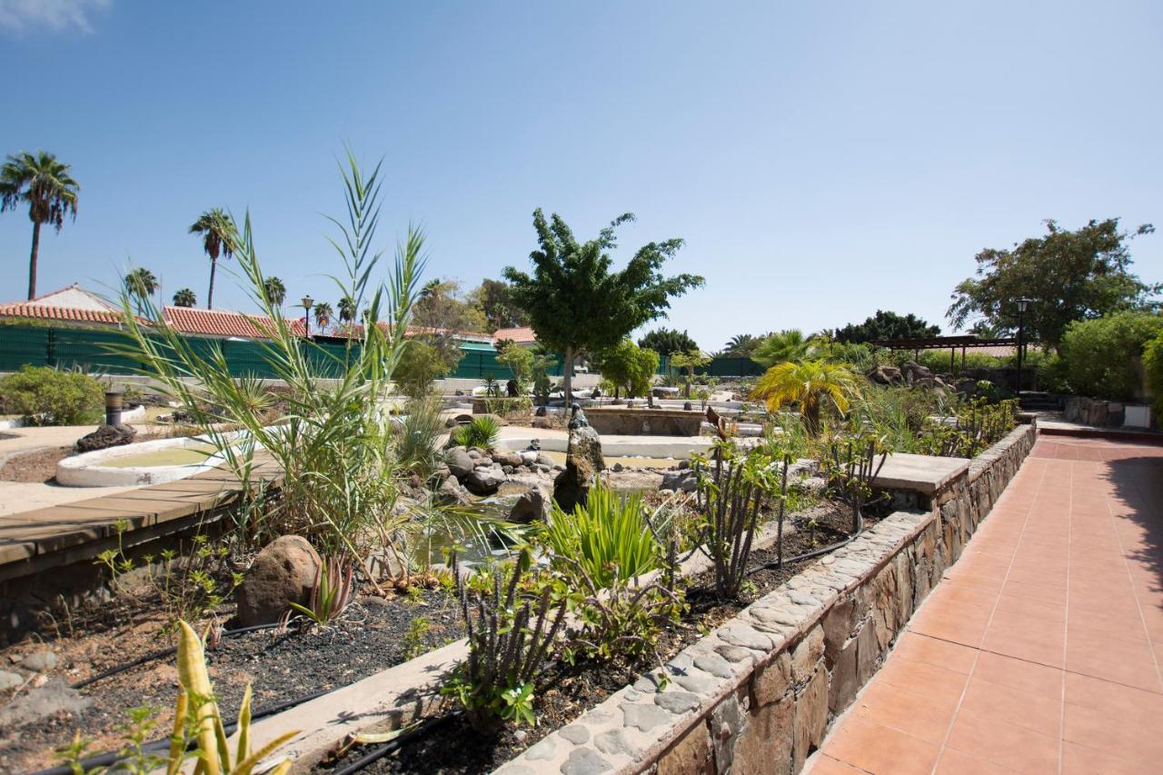 Serenity Garden Maspalomas  Ngoại thất bức ảnh
