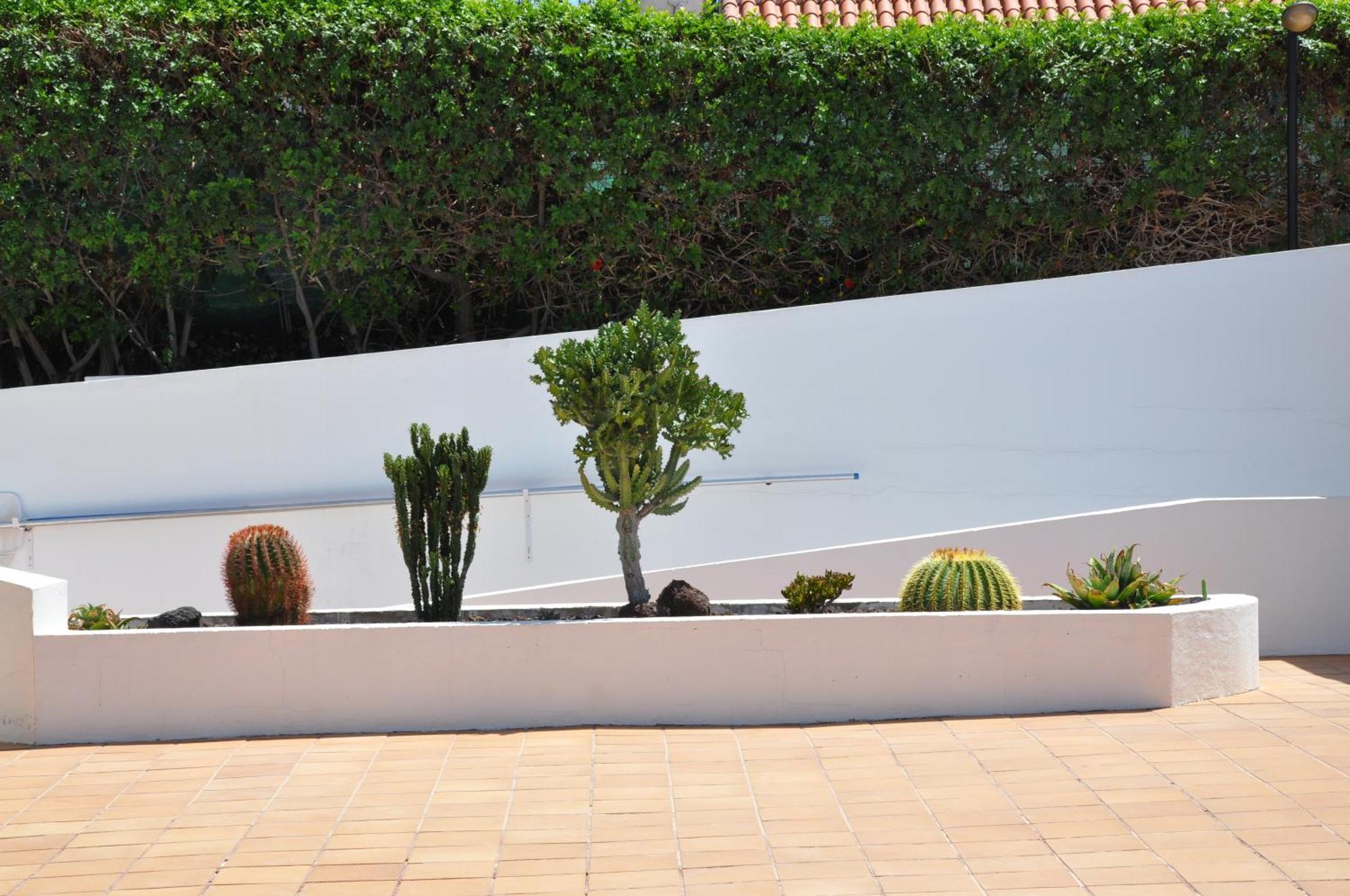 Serenity Garden Maspalomas  Ngoại thất bức ảnh
