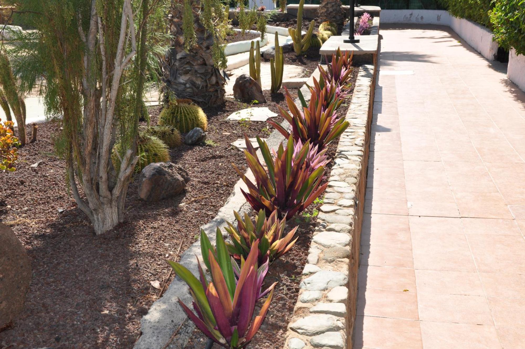 Serenity Garden Maspalomas  Ngoại thất bức ảnh