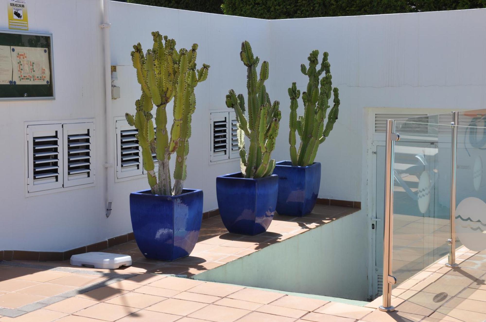 Serenity Garden Maspalomas  Ngoại thất bức ảnh