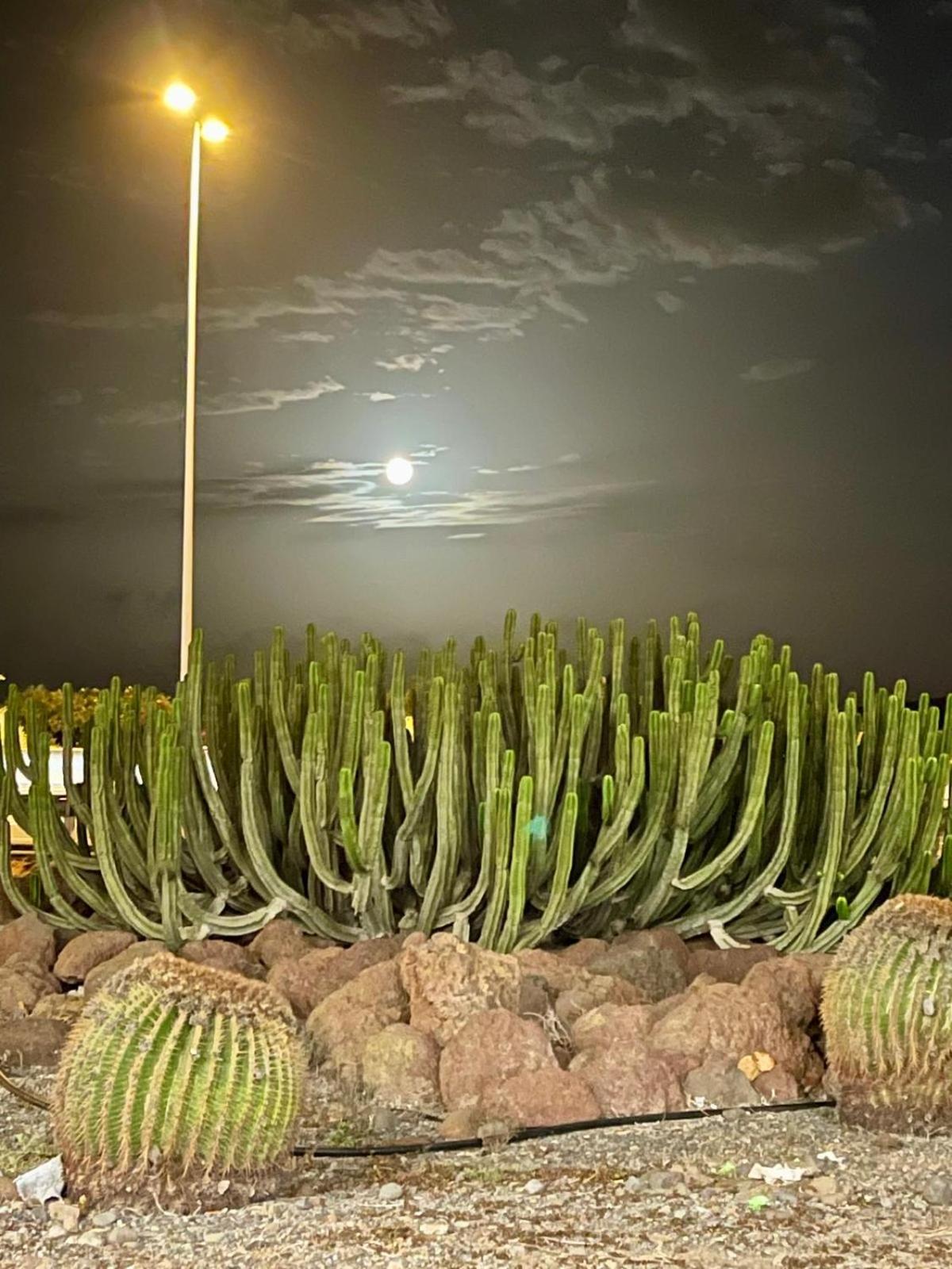 Serenity Garden Maspalomas  Ngoại thất bức ảnh