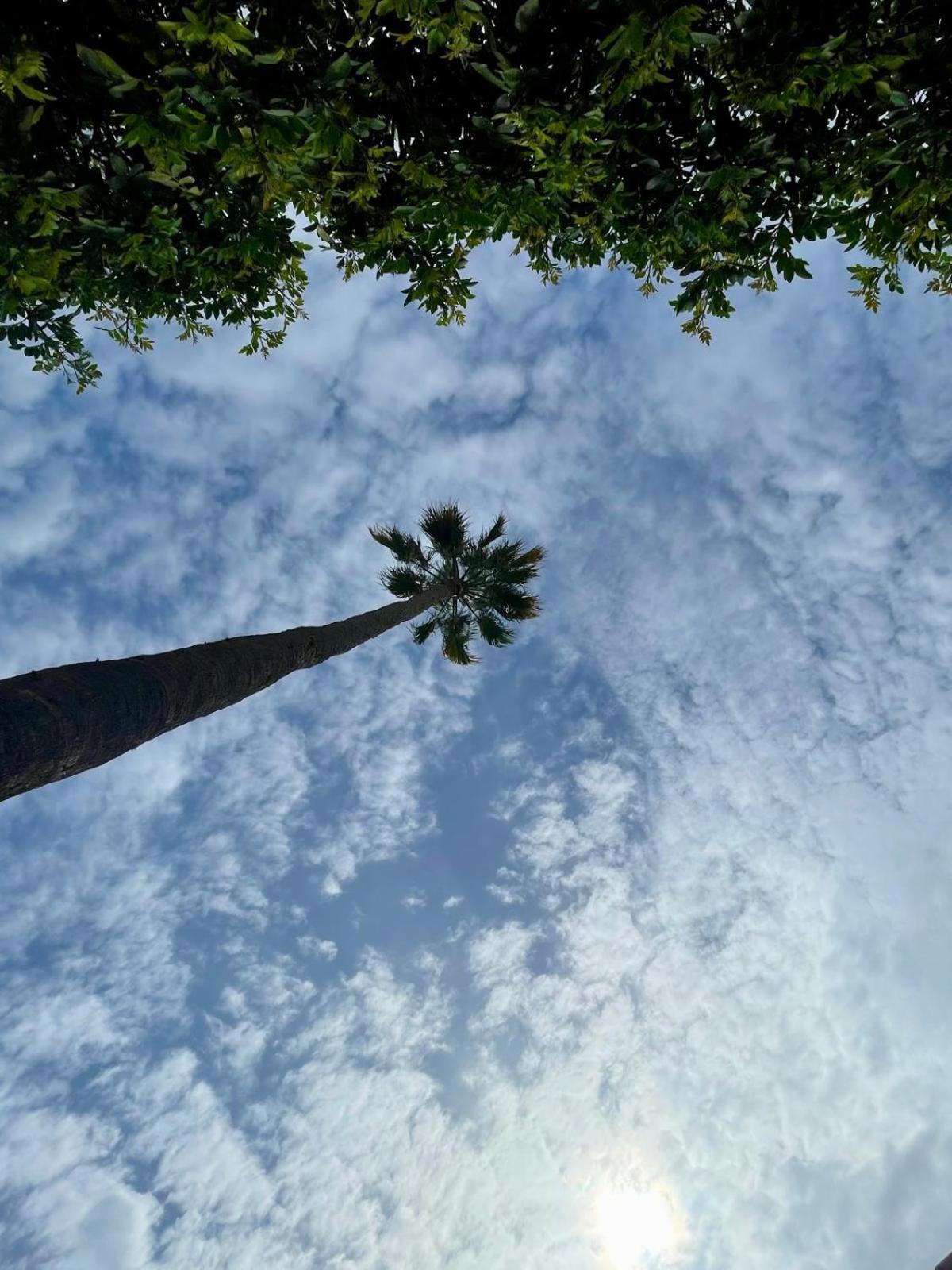 Serenity Garden Maspalomas  Ngoại thất bức ảnh